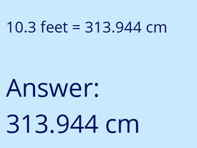 10.3 feet in cm image