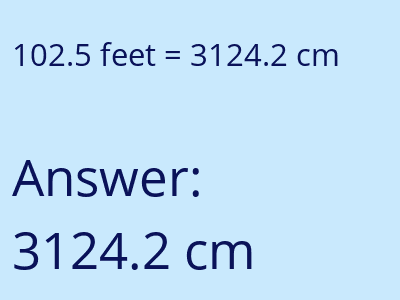 102.5 feet in cm image