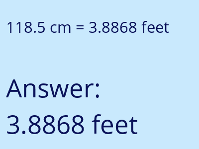 118.5 cm in feet image
