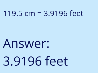 119.5 cm in feet image