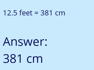 12.5 feet in cm image