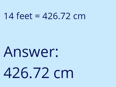14 feet in cm image