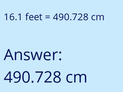 16.1 feet in cm image