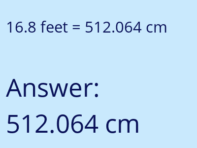 16.8 feet in cm image
