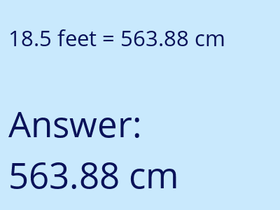 18.5 feet in cm image