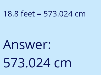 18.8 feet in cm image
