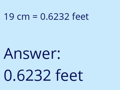 19 cm in feet image