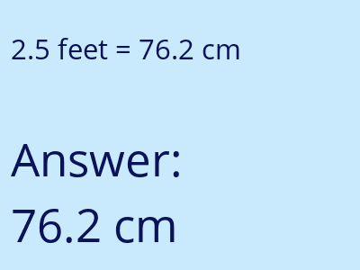 2.5 feet in cm image