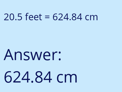 20.5 feet in cm image