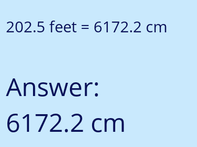 202.5 feet in cm image