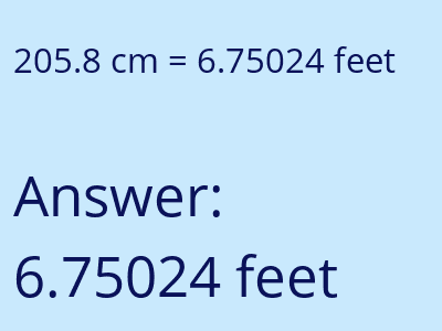 205.8 cm in feet image