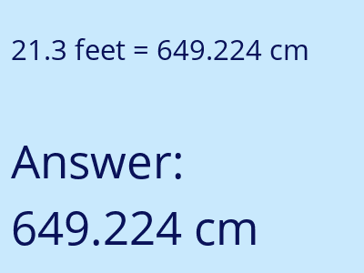 21.3 feet in cm image