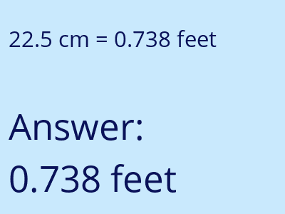 22.5 cm in feet image