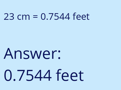 23 cm in feet image
