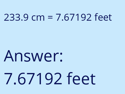 233.9 cm in feet image