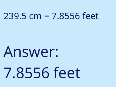 239.5 cm in feet image