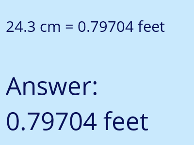 24.3 cm in feet image