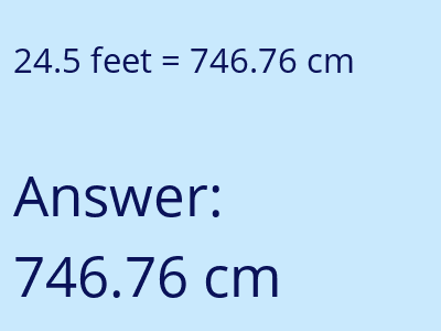 24.5 feet in cm image