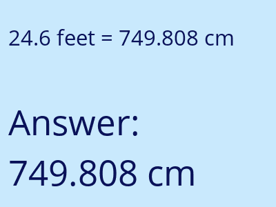 24.6 feet in cm image