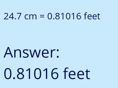 24.7 cm in feet image