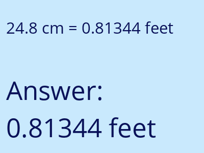 24.8 cm in feet image