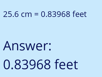 25.6 cm in feet image