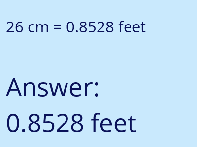26 cm in feet image