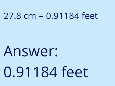 27.8 cm in feet image
