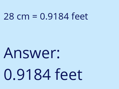 28 cm in feet image
