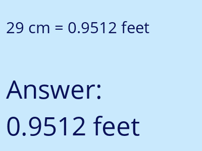 29 cm in feet image