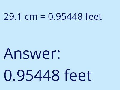 29.1 cm in feet image
