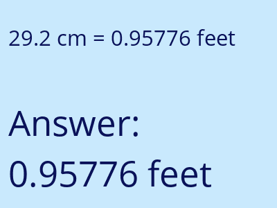 29.2 cm in feet image