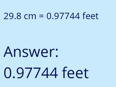29.8 cm in feet image