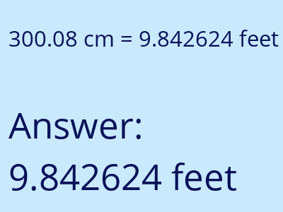 300.08 cm in feet image
