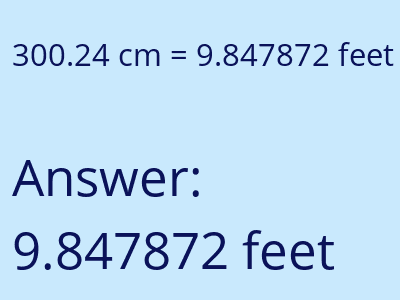 300.24 cm in feet image