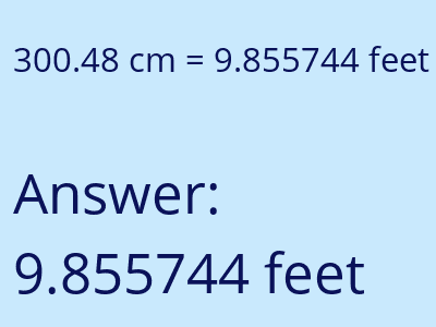 300.48 cm in feet image