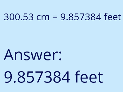 300.53 cm in feet image