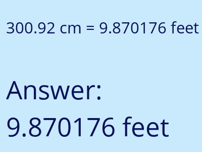 300.92 cm in feet image