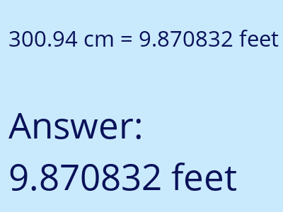 300.94 cm in feet image
