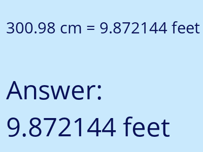 300.98 cm in feet image