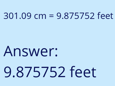 301.09 cm in feet image