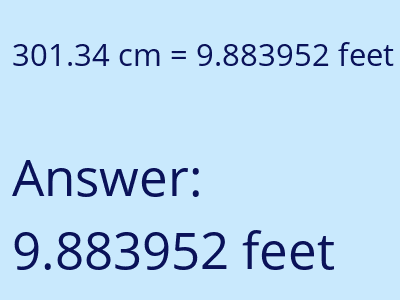 301.34 cm in feet image