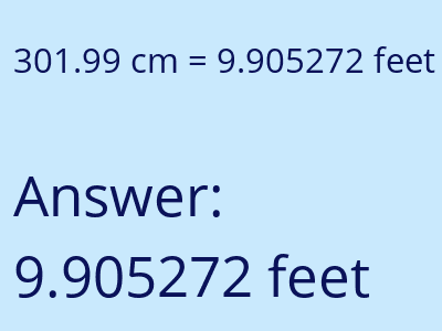 301.99 cm in feet image