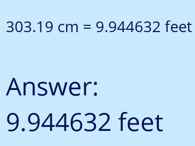 303.19 cm in feet image