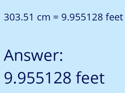 303.51 cm in feet image