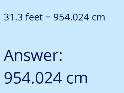 31.3 feet in cm image