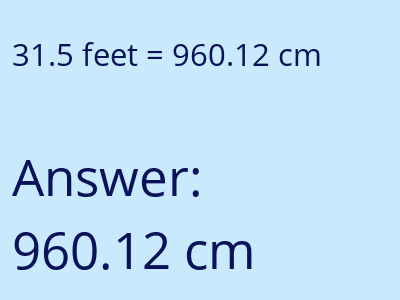 31.5 feet in cm image