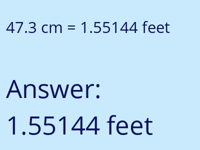 47.3 cm in feet image