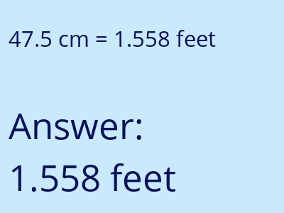 47.5 cm in feet image