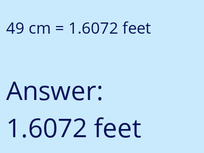 49 cm in feet image